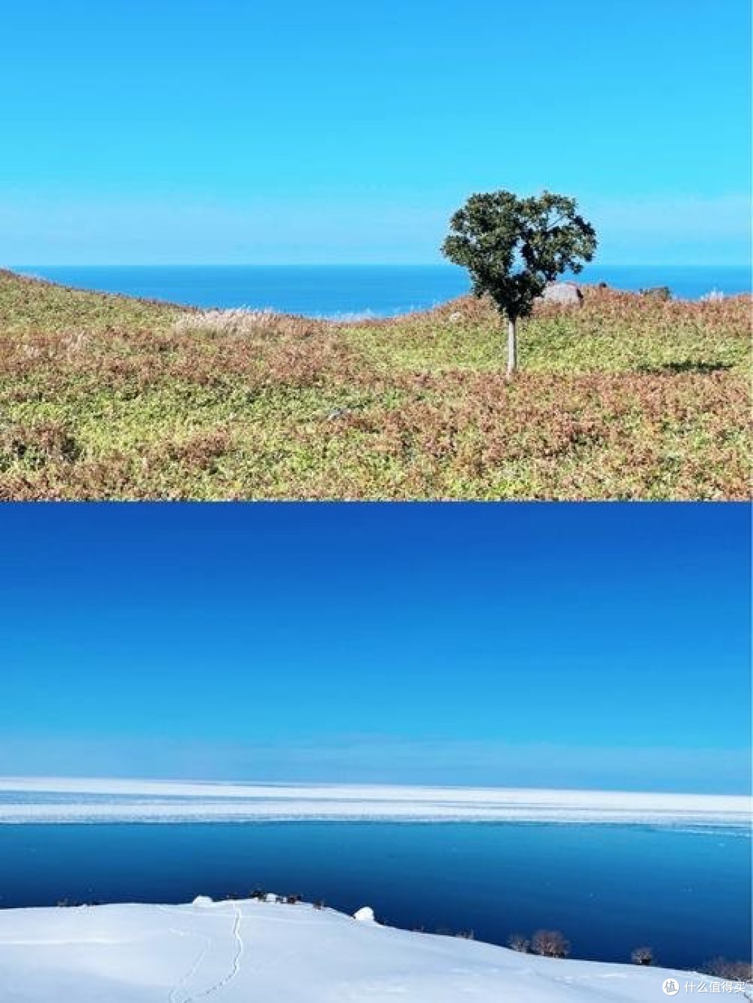 如何利用智能裁判数据提升篮球训练效果_1